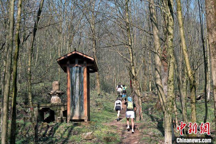 春日花海点亮息烽鹿窝：2024奔跑贵州山地跑系列